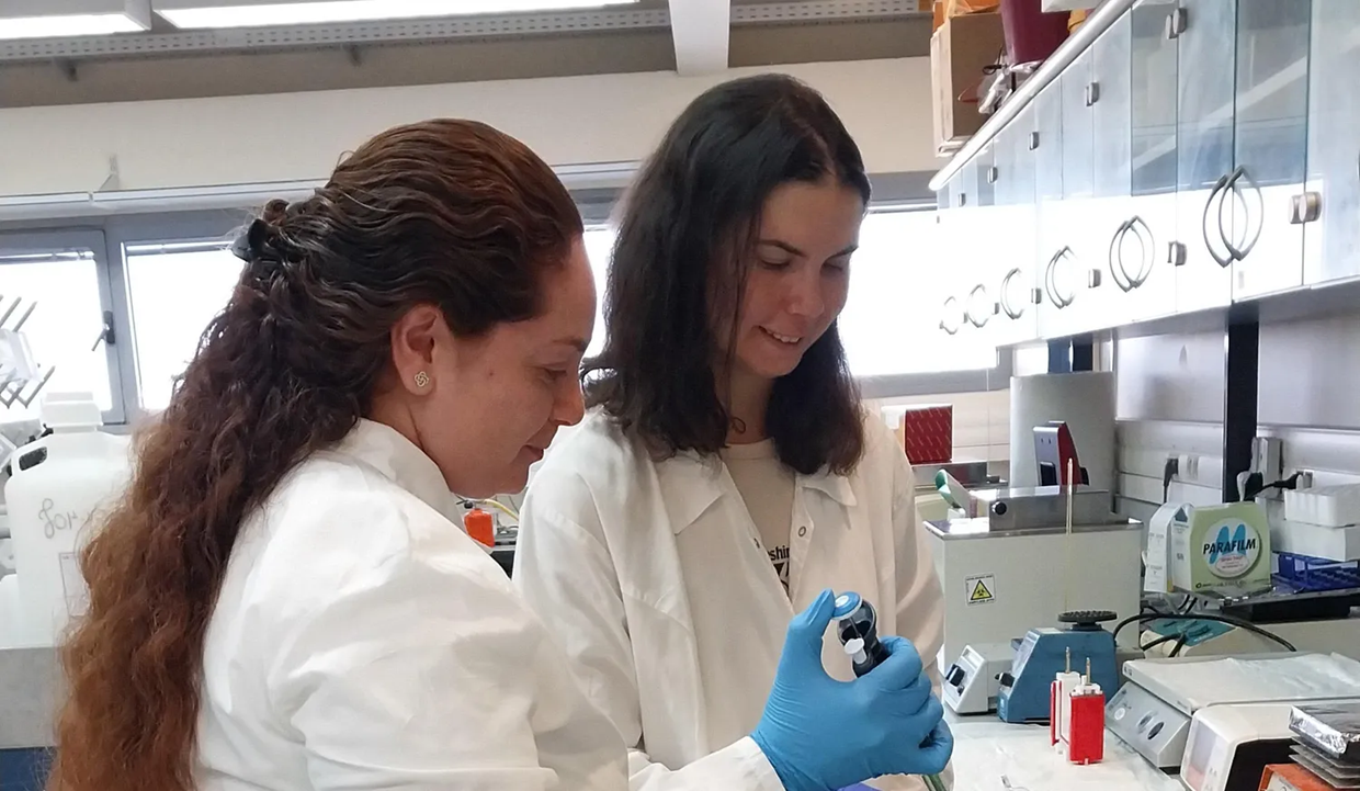 לגלות את הסמוי מן העין: חקר מחלות רשתית נדירות לשם מה?